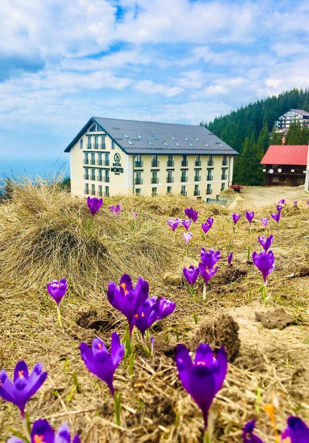 Montis Hotel & Spa Muntele Mic Eksteriør bilde